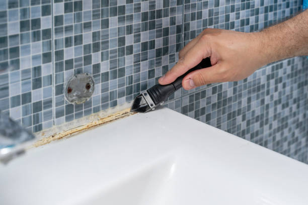 Best Mold Cleaning Services  in South Apopka, FL
